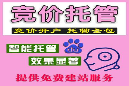 搜索引擎营销（SEM）在本地市场的应用案例